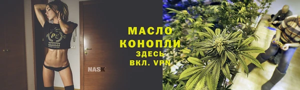 твердый Медногорск