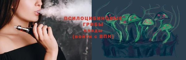 соль ск Михайлов