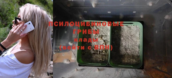 твердый Медногорск