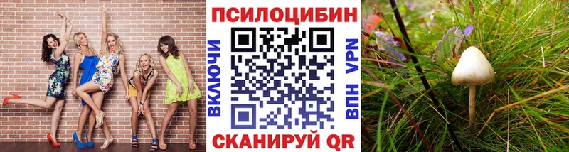 KRAKEN ССЫЛКА  Иноземцево  Галлюциногенные грибы ЛСД 